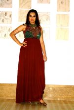 Sona Mohapatra at the Goa Fest 2014 on 30th May 2014